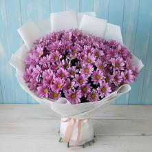 Букет цветов из:  Хризантемы в Заре