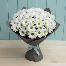 Букет цветов из:  Хризантемы в Заре