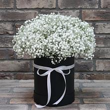 Цветочная композиция из Гипсофила в шляпной коробке в Заре