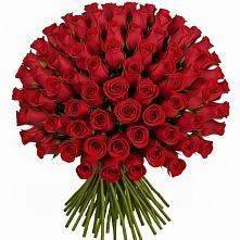 Букет Красные розы Чери Лав в Заре