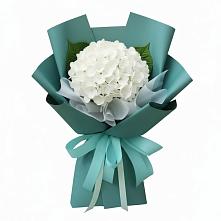 Букет цветов из:  Гортензия в Заре